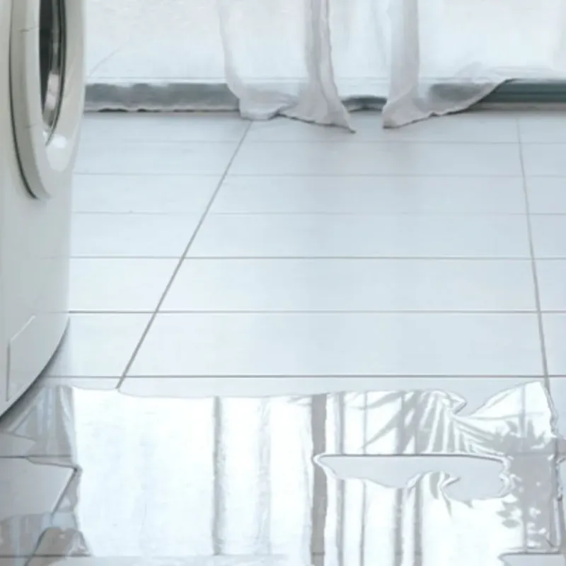 Appliance Leak Cleanup in Seneca, IL