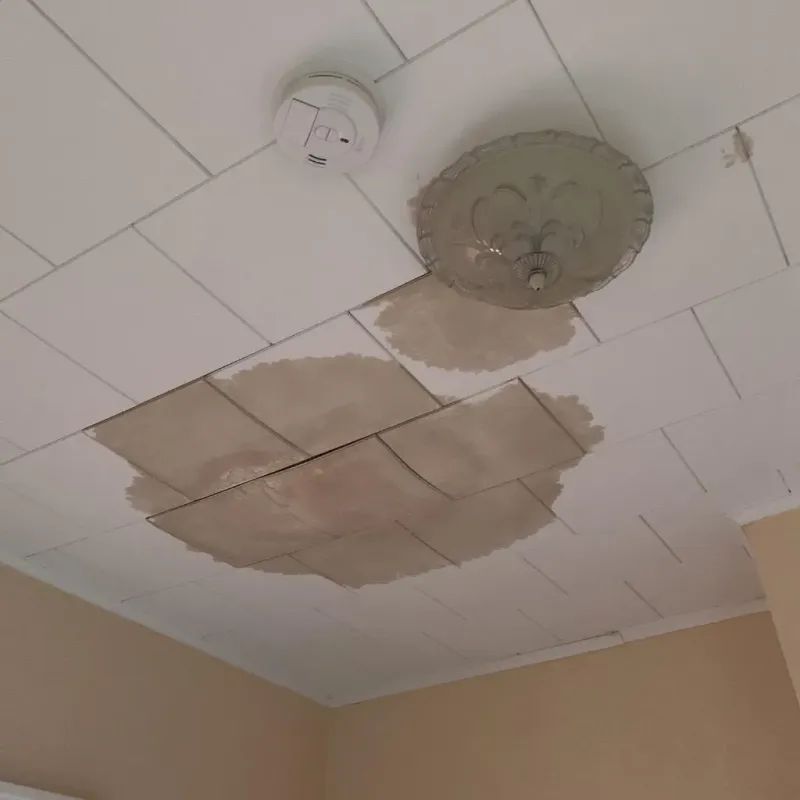 Ceiling Water Damage Repair in Seneca, IL