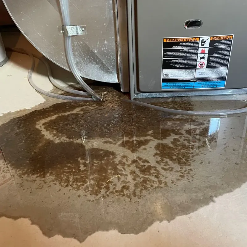 Pipe Burst and Leak Restoration in Seneca, IL