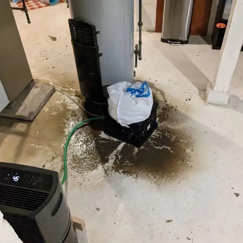 Sewage Backup Cleanup Service in Seneca, IL